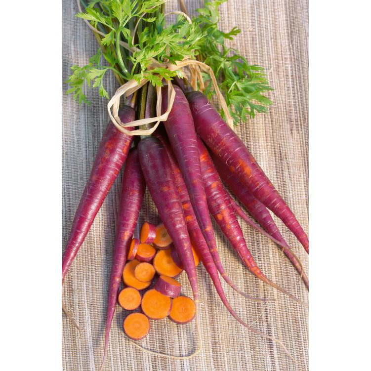 purple carrot seeds