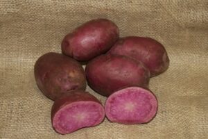 Potatoes Adirondak Red 300x200 
