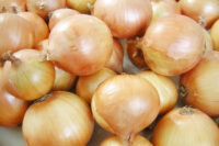 Onion Sets, Garlic & Shallot Bulbs
