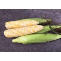 Remedy corn
