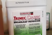 trimec broadleaf herbicide