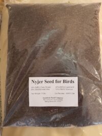nyjer seed for birds