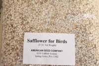safflower for birds