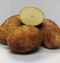 Gold Rush Potato