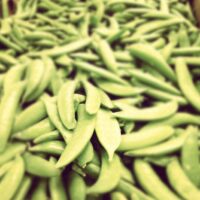 Sugar Peas - Edible Pods